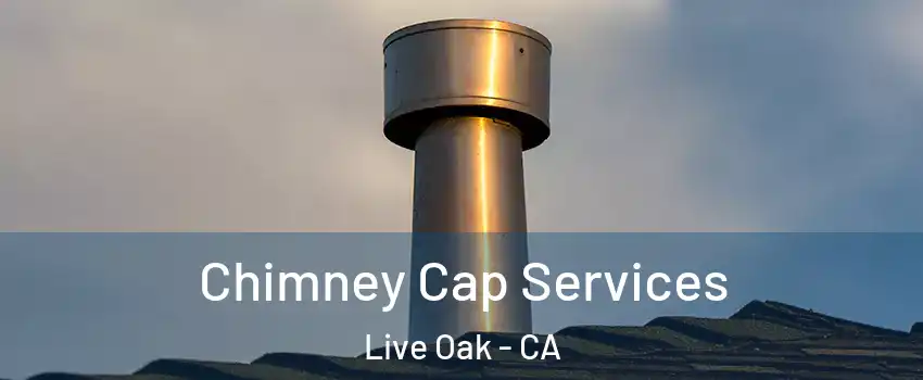  Chimney Cap Services Live Oak - CA