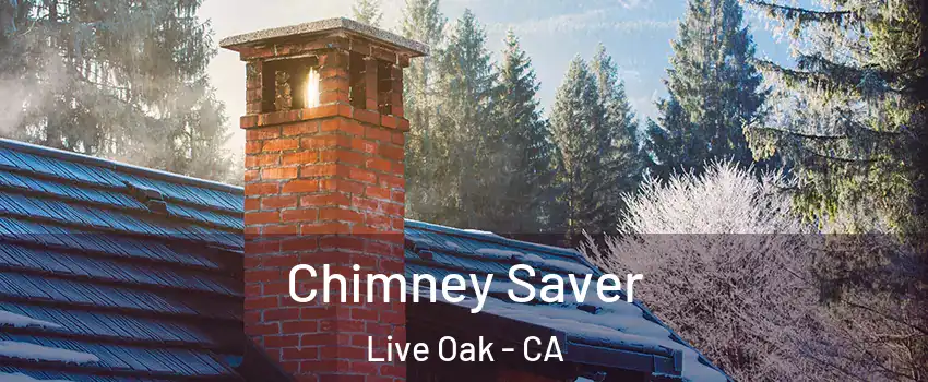  Chimney Saver Live Oak - CA