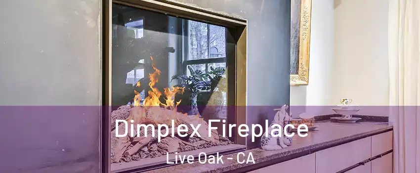  Dimplex Fireplace Live Oak - CA