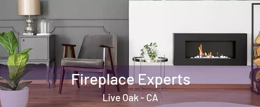  Fireplace Experts Live Oak - CA