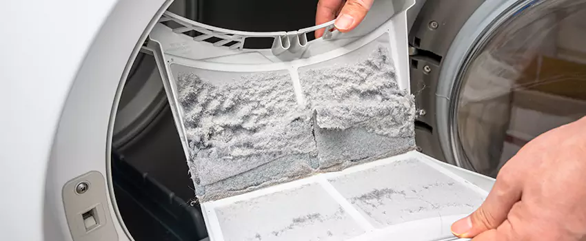 Best Dryer Lint Removal Company in Live Oak, California