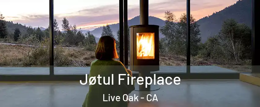  Jøtul Fireplace Live Oak - CA